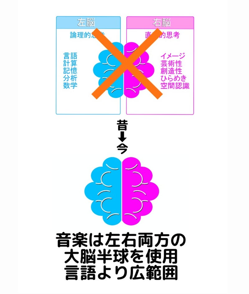 音楽のレッスンが脳に与える良い影響。右脳は感覚、左脳は思考・・・は過去の話